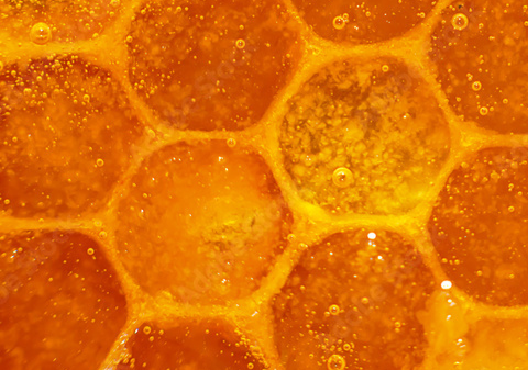 Pyruvic Acid