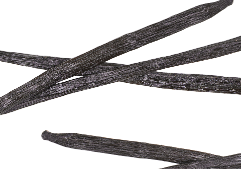 Vanilla Bean